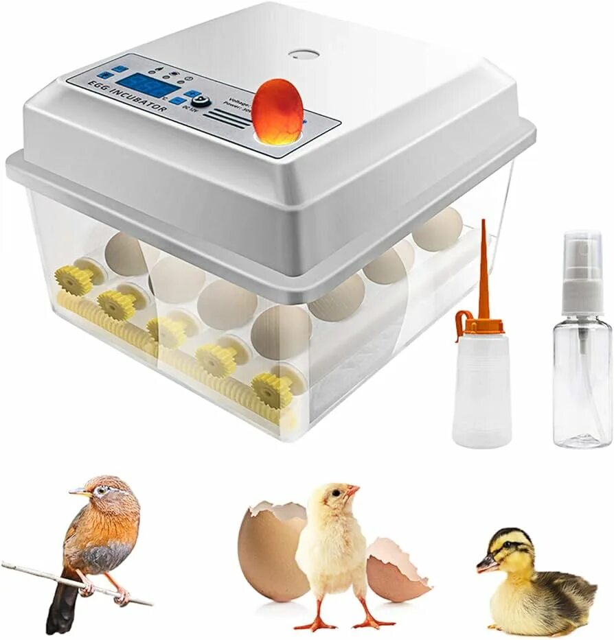 Инкубатор Egg incubator 6. Инкубатор Egg Box 3000. Инкубатор Тернер на 16 яиц. Инкубатор для яиц Egg incubator.