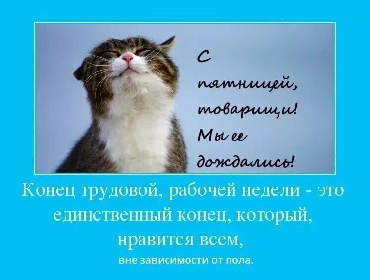 День лучше в первой половине. Поздравление с окончанием рабочей недели. Открытка с завершением рабочего дня. Поздравление с концом рабочего дня. Открытка конец трудовой недели.