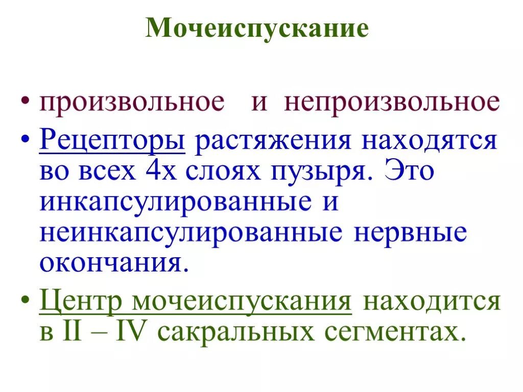 Центр рефлекса мочеиспускания. Произвольное и непроизвольное мочеиспускание. Центр регуляции мочеиспускания. Центр произвольного мочеиспускания. Непроизвольная и произвольная регуляция мочеиспускания..