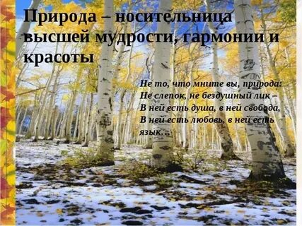 Стихотворение я не ищу гармонии