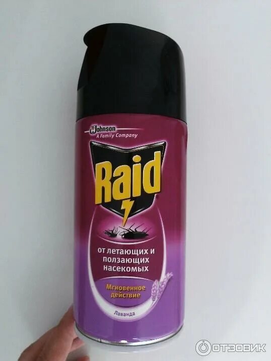 Raid от насекомых. Raid от клопов аэрозоль. рейд от летающих и ползающих насекомых. raid от летающих насекомых.