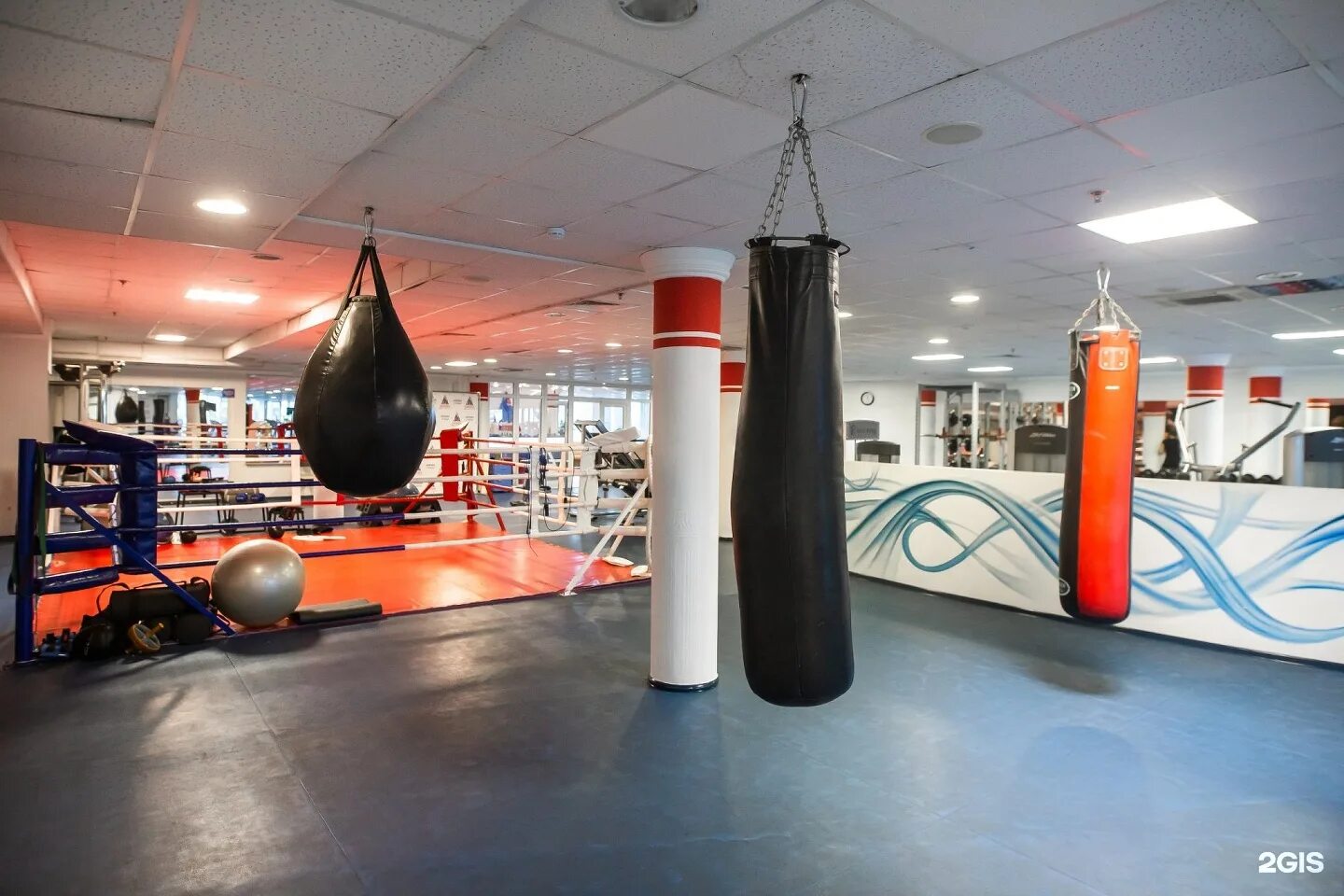 Фитнес клуб alex fitness. Спортзал медведь краснодар тургенева. Диггер краснодар фитнес. Balance краснодар фитнес. Арриба фитнес.