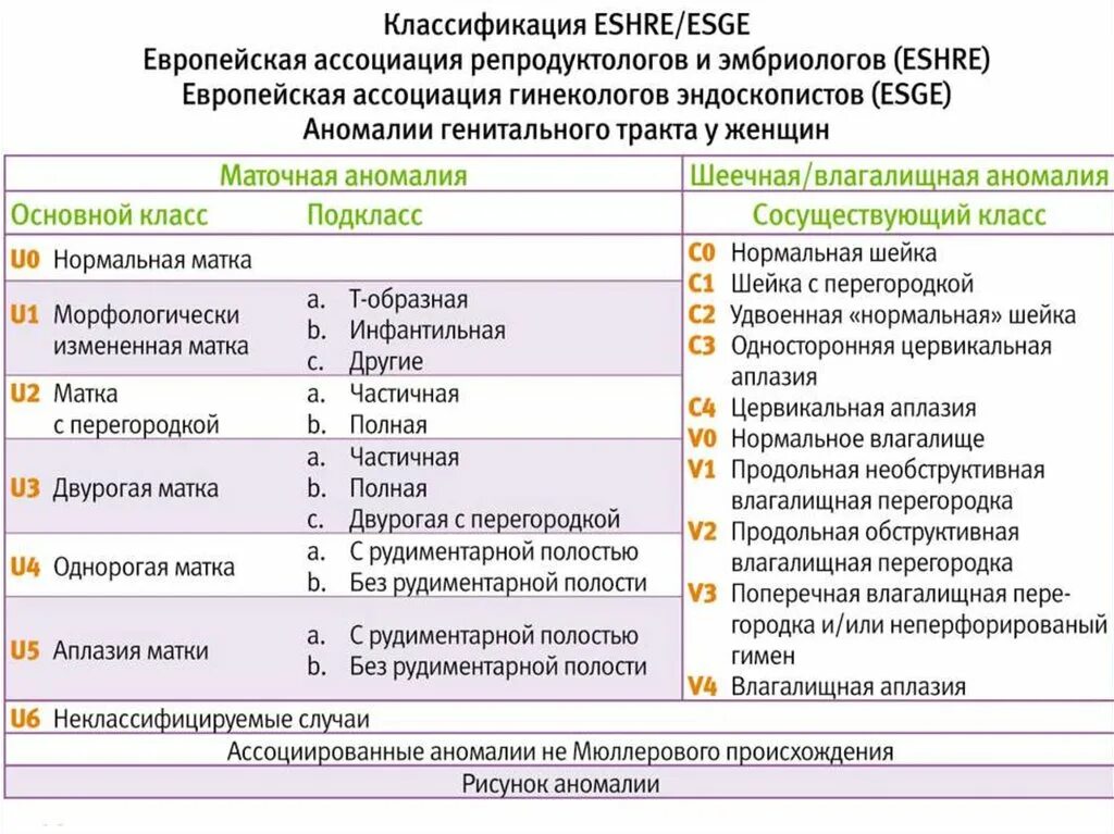 ESHRE классификация пороков матки. Аномалии развития матки классификация. Классификация аномалий развития женских половых органов. Классификация пороков развития половых органов.