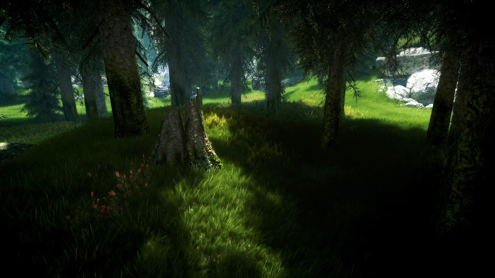Skyrim graphics. Скайрим с графическими модами. skyrim моды на графику. скайрим с модами на графику. скайрим моды скриншоты.