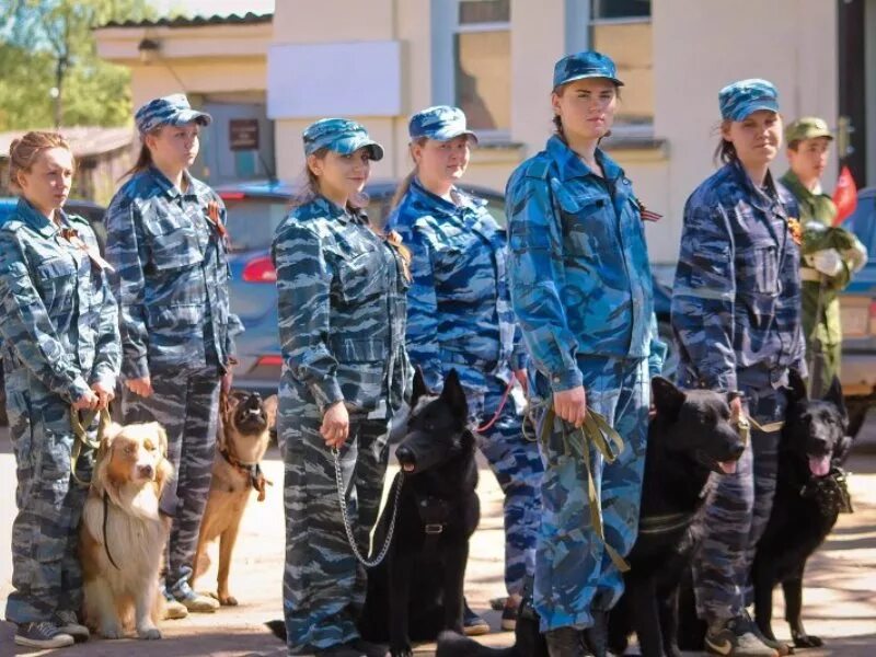 Кинологический колледж после 9 класса. Агротехнический колледж Идрица. Кинологический колледж Идрица. Идрицкий филиал кинолог. Идрица Псковская область техникум.