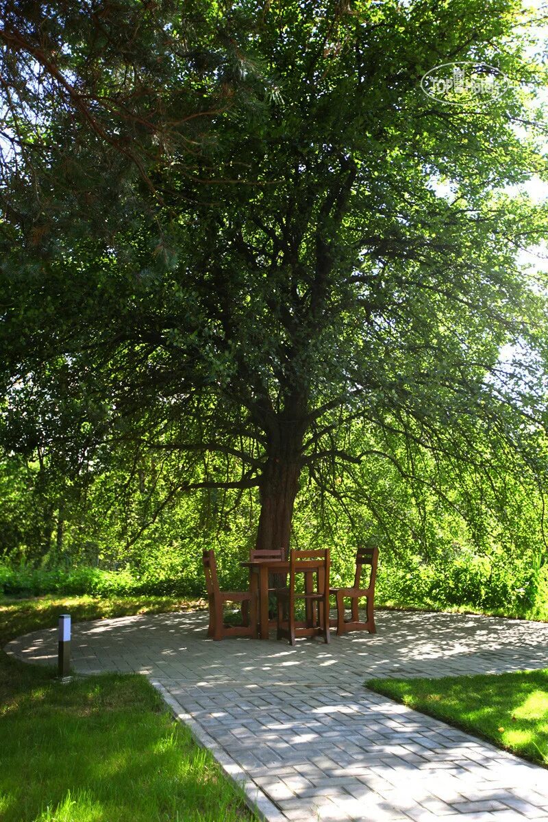 Грин парк отдых. Грин парк Новозыбков. Грин парк отель Новозыбков. Green Park Екатеринбург Балтым. Грин парк Брянск отель.