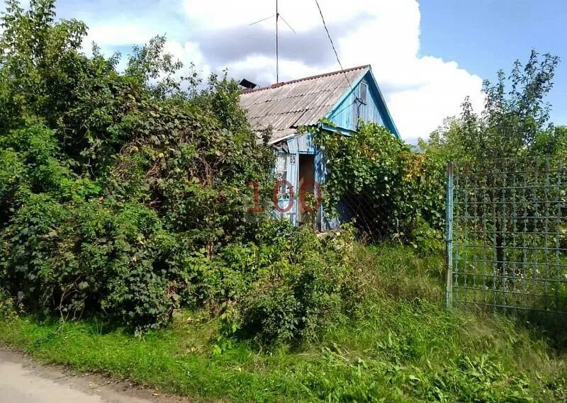 Барабара пер ровенки 2б село девица фото. Барабара пер ровенки 2б село девица фото. Барабара пер ровенки 2б село девица фото. Деревня муравино тверская область. Село девица улица ровенка.