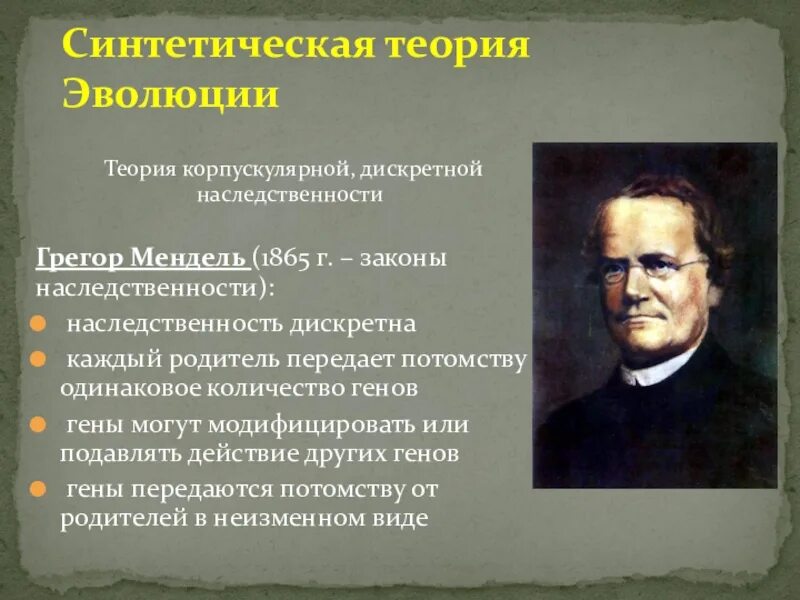 Учение о наследственных. Грегор Мендель 1865. Грегор Мендель учение о наследственности. Теория наследственности Менделя. Синтетическая теория эволюции.