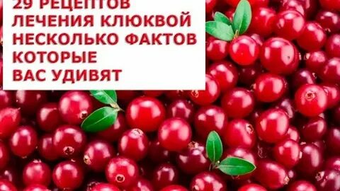 Ягодное жизнь