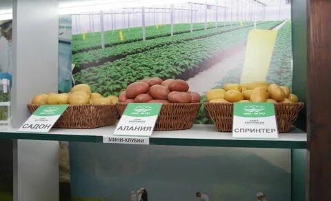 Оригинального производства