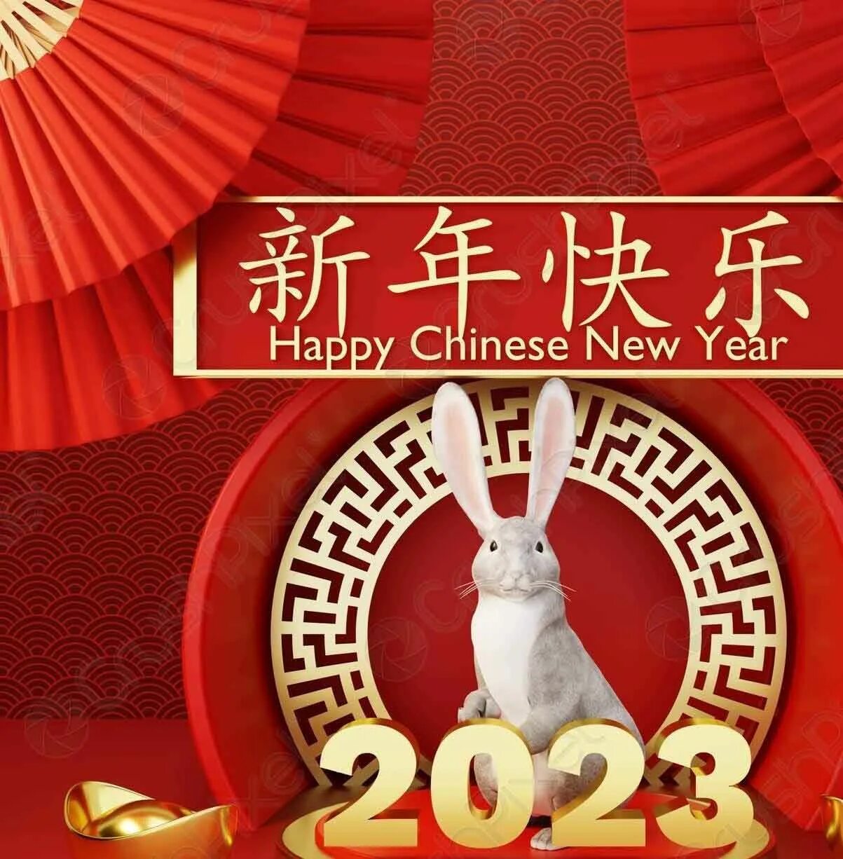Happy Chinese New Year 2023 Year of the Rabbit Stock Vector - Illustration of go