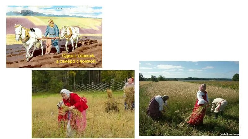 Земледелец сайт нижний новгород. Магазин земледелец в нижнем новгороде. Магазин земледелец нижний новгород пр гагарина. Магазин земледелец. 100 сидератов книги.