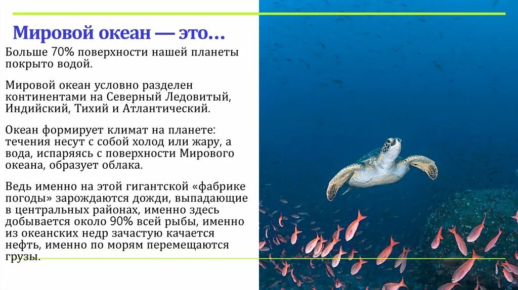 Какое значение мирового океана. Какое значение мирового океана