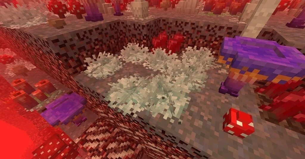 Мод беттер незер. Better nether 1.16.5. мод better nether 1.16.5 forge. better nether 1.19.2.