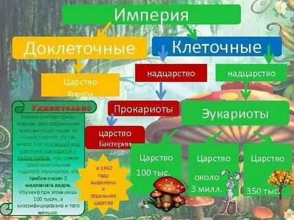 Надцарство крапивы