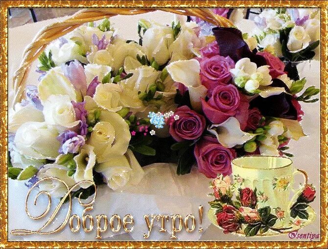 доброе утро цветы красивые женщине мерцающие. доброе утро живые цветы с пожеланием. добрый день с красивыми цветами. букет цветов с добрым утром. цветы с пожеланиями хорошего дня.