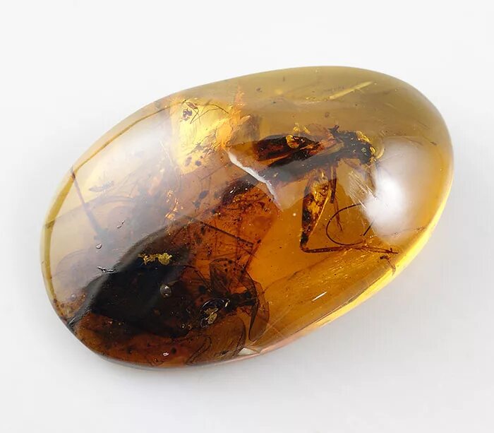 Янтарь камень минерал. Саксонский янтарь. Камчатский янтарь. Янтарь минерал. Янтарь минералоид.