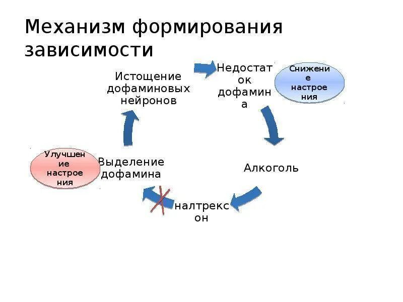 Дофаминовая зависимость. Механизм развития наркотической зависимости. Этапы формирования психической зависимости. Механизм формирования психической зависимости. Механизм развития наркозависимости кратко.