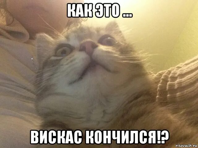 0 meme. Чтооооо Мем. Картинка чтооооо. За чтооооо. Уроки закончились меме.