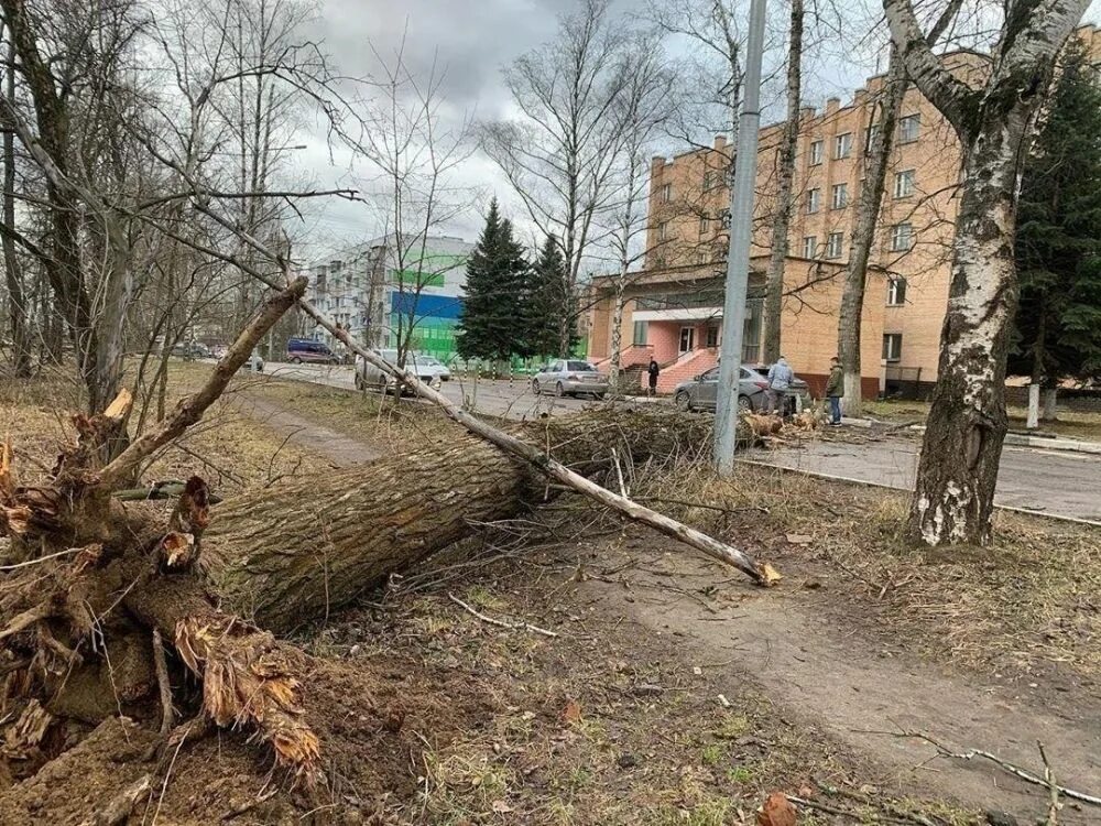 Последствия ветров