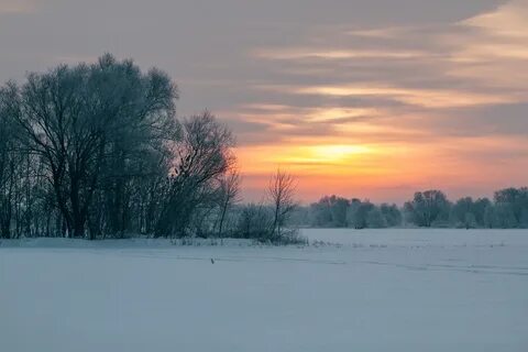 Январский рассвет