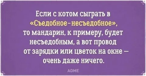 Включи что нибудь найти