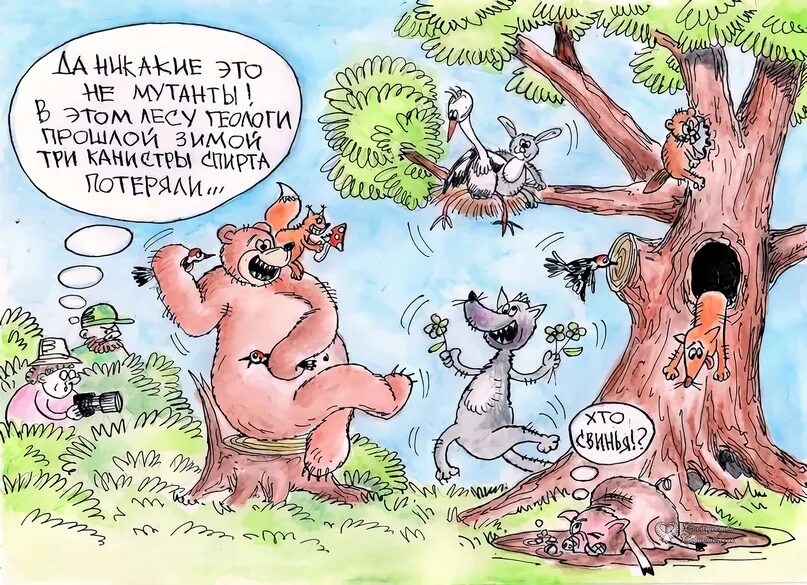 Шутку про животное. Анекдоты про зверей в лесу. Анекдоты про зверей ржачные. Анекдоты про зверей в лесу. Смешные анекдоты про животных.