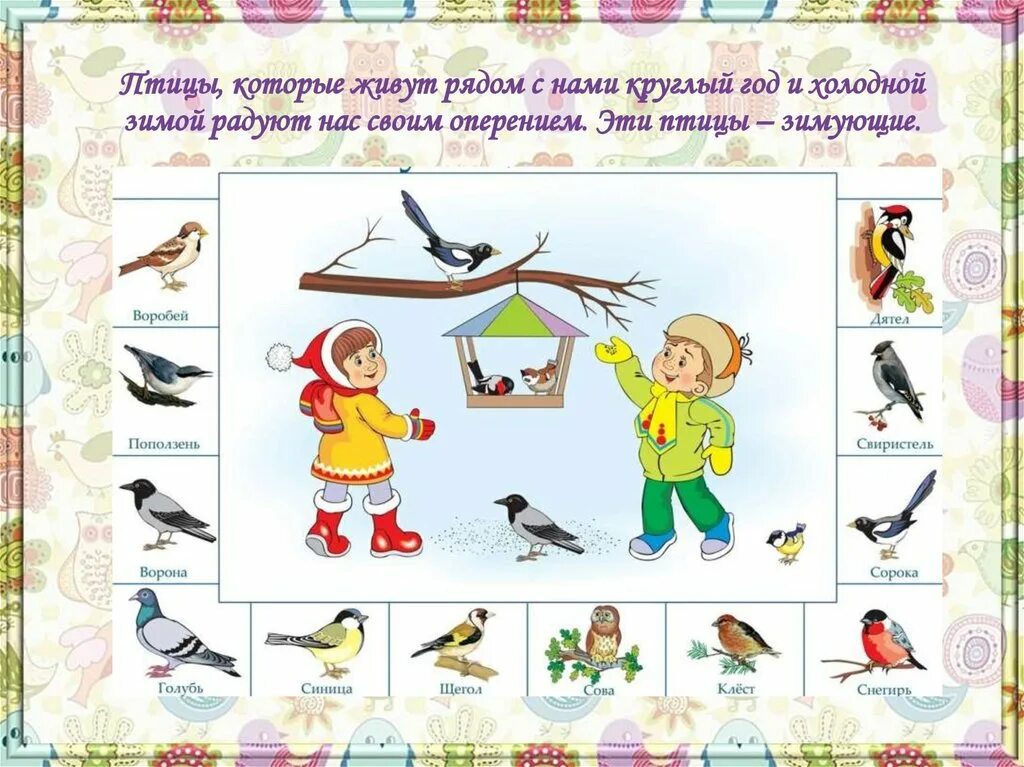 Занятия зимующие птицы. Развивающее занятие зимующие птицы. зимующие птицы задания для детей. занятие с детьми зимующие птицы. зимующие птицы занятие для малышей.