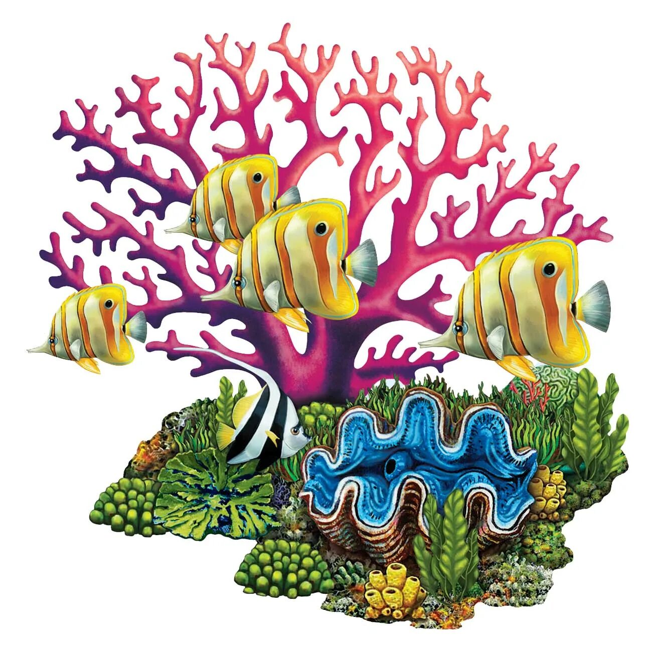 Водоросли для детей. Морские водоросли на рифе. Кораллы для детей. Кораллы для дошкольников. Кораллы мультяшные.