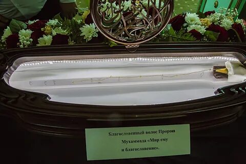 Волосы пророка
