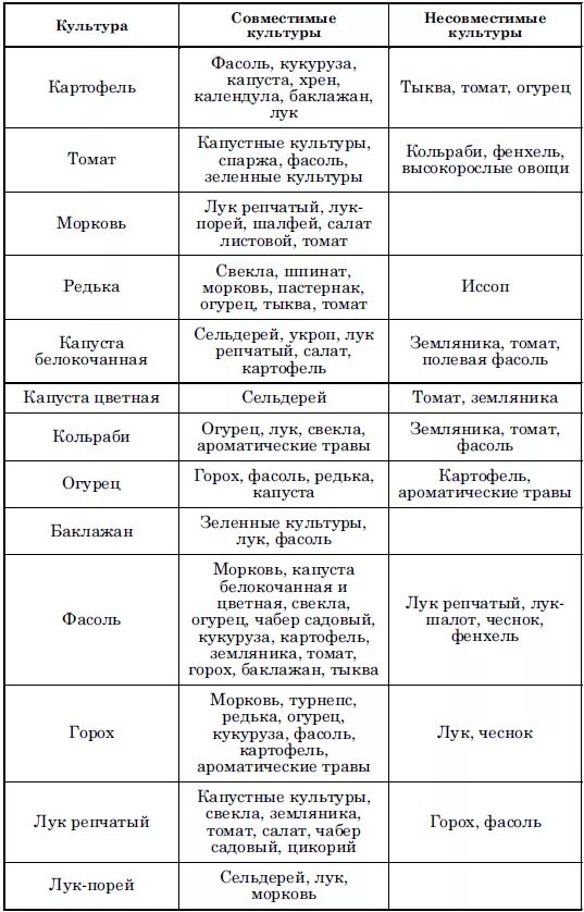 После чего можно посадить морковь. Таблица севооборота овощных культур. Посадка овощей предшественники таблица. Предшественники на грядке овощей таблица. Таблица севооборота овощных культур на огороде.