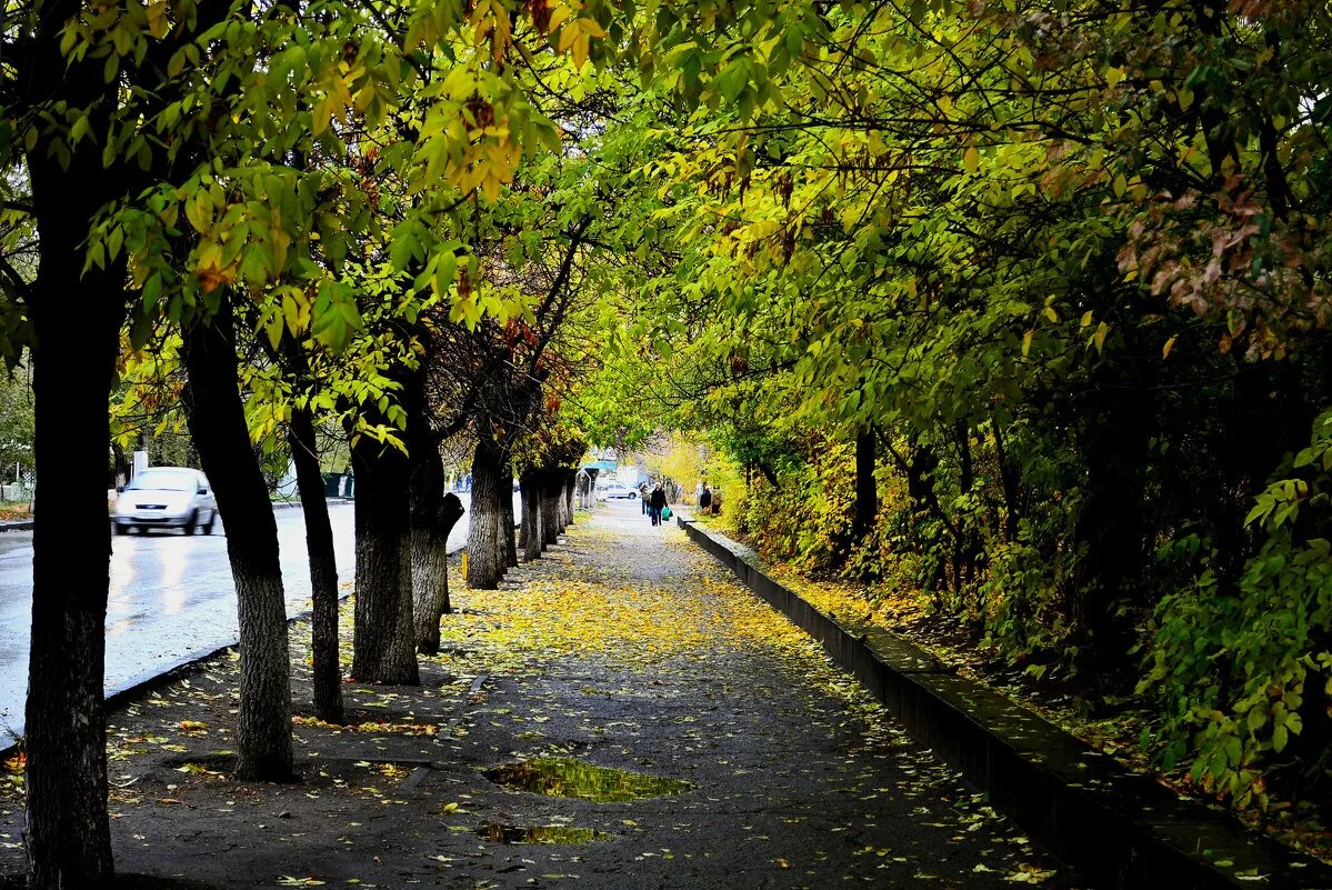 киев осенью улицы. осенний парк. киев осенью. осенний парк. красивый осенний парк.