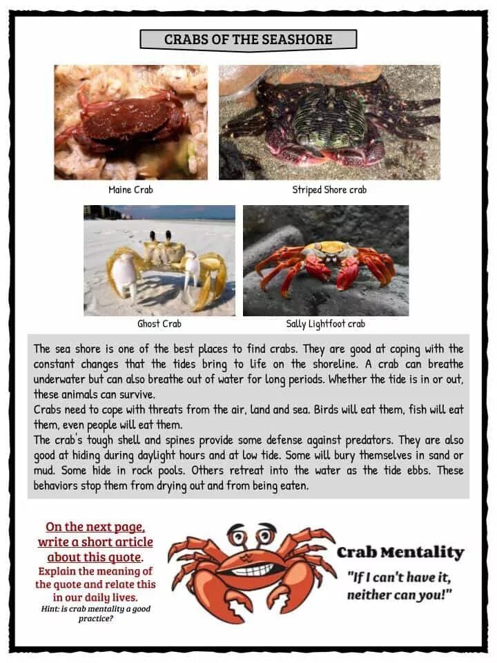 Краб винокуров читать. Interesting facts for Kids. Crabs description урок английского. Crab Worksheet. Devisage краб.