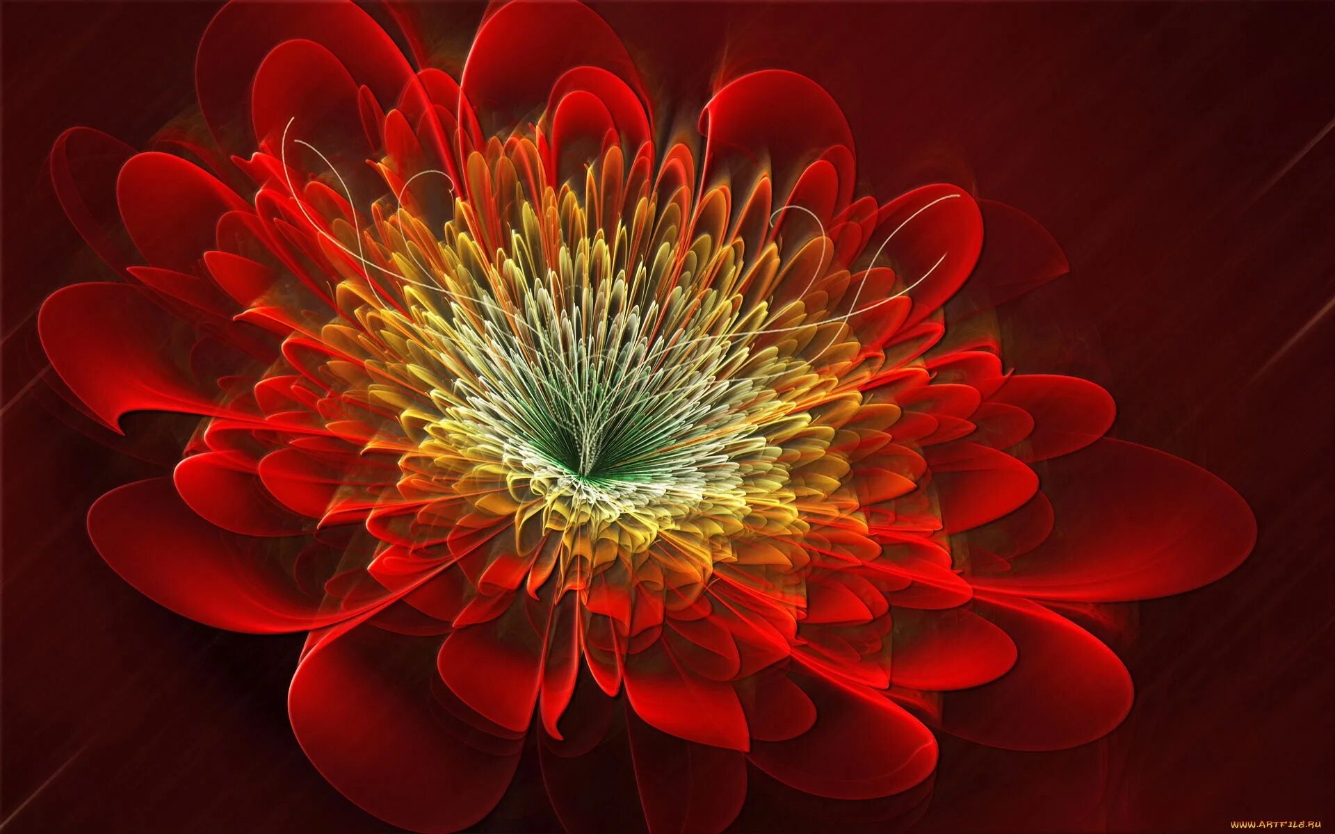 цветы абстракция. абстрактные узоры. абстракция. фракталы цветов. фракталы цветов.