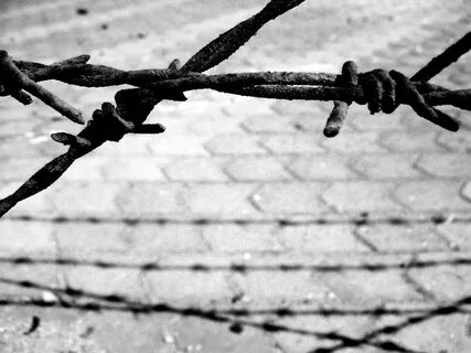 Holocaust