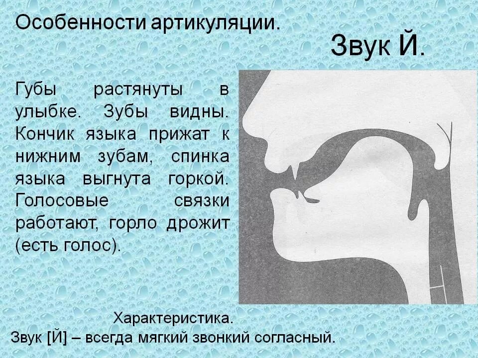 Буквам артикуляция