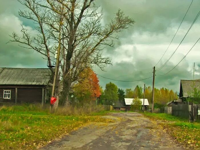 Деревни семеновского района нижегородской области. Деревня Арефьево Нижегородская область. Деревня Рыжково Нижегородская область Семеновский район. Деревня озеро Семеновский район Нижегородской. Деревня Шалдежка Семеновского района Нижегородской области.