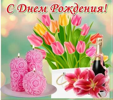 880 открыток за 16 дней