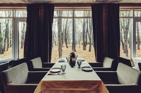Forest lounge