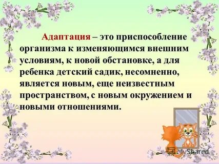 Внешняя адаптация это