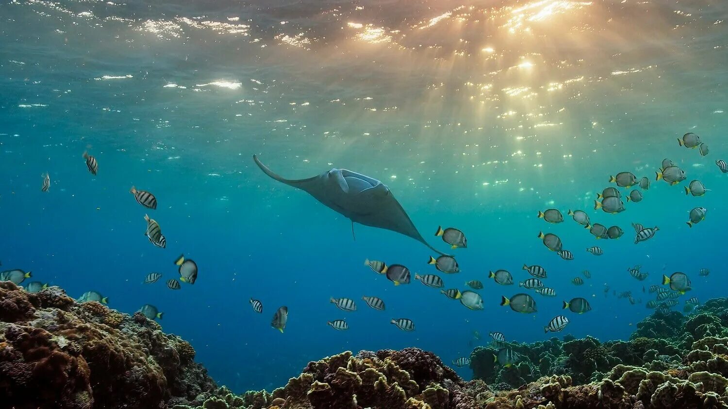 самый молодой океан планеты