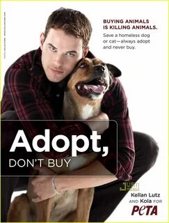 Buy a dog