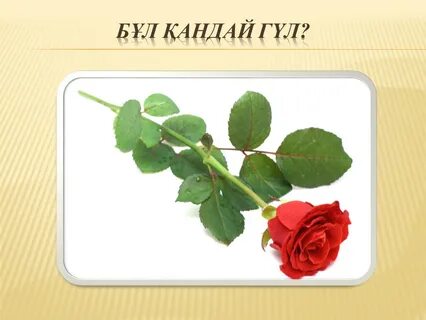 Терең декоратпен жалаңаш қыздар