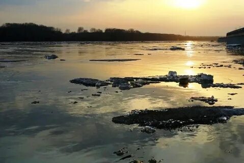 Уровень реки в районе шакши