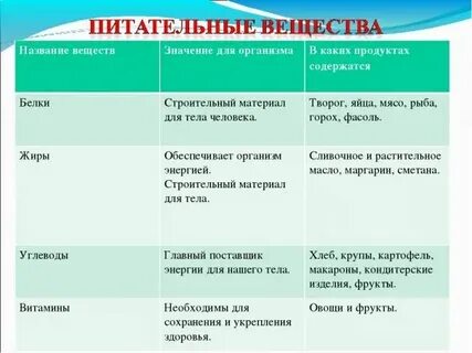 Белки жиры углеводы 6 класс биология