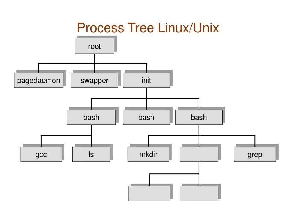 Команды linux файловая система. Дерево unix. дерево процессов для систем unix. tree linux команда.