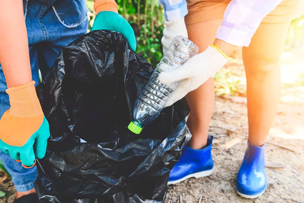 Clean the environment. Clean the environment