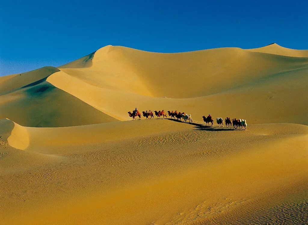 Пустыня бадын Джаран. Дюны Египет. Цинхай Китай пустыня. Верблюды пустыни бадынджеран.