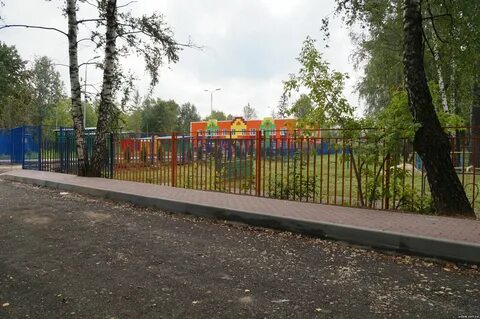 Дельфин королев болшевское