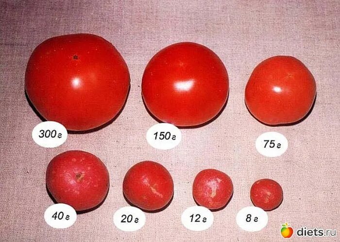 Сколько гр помидор. Томат черри вес 1 шт. Вес 1 помидора черри. 1 Помидор сколько грамм. Сколько весит 3 помидора черри.